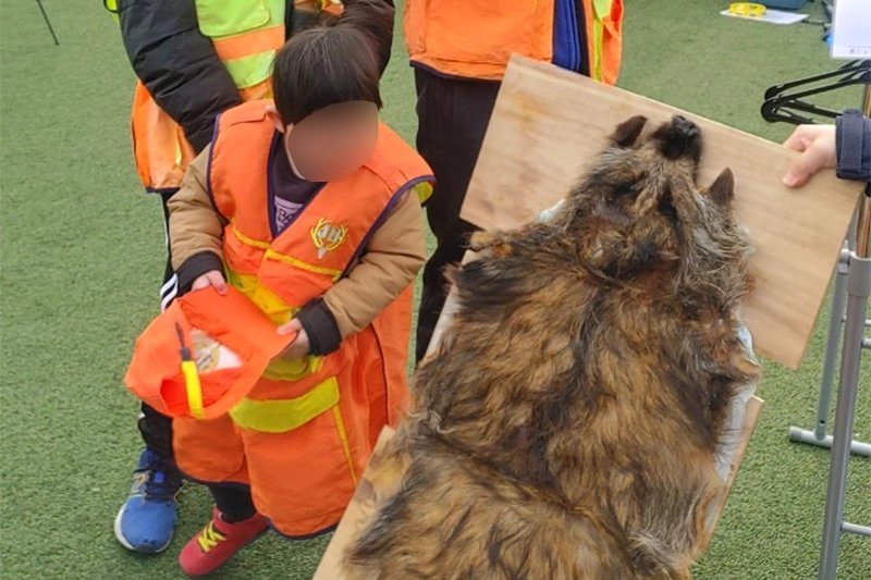 移動援護の写真4枚目